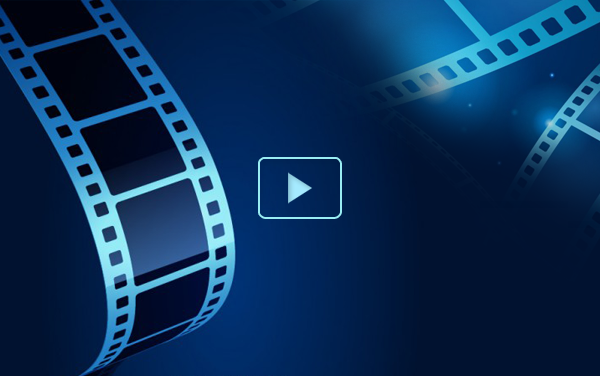 Video hoạt động viết thư pháp trong Lễ hội khai bút đầu xuân Ất Tỵ 2025 tại đền thờ Tiến sỹ, nhà thơ yêu nước Lê Khắc Cẩn, xã An Thọ, huyện An Lão, Thành phố Hải Phòng